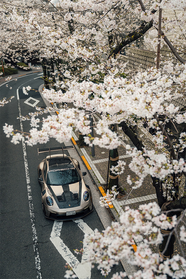 Cherry Blossom GT3 RS