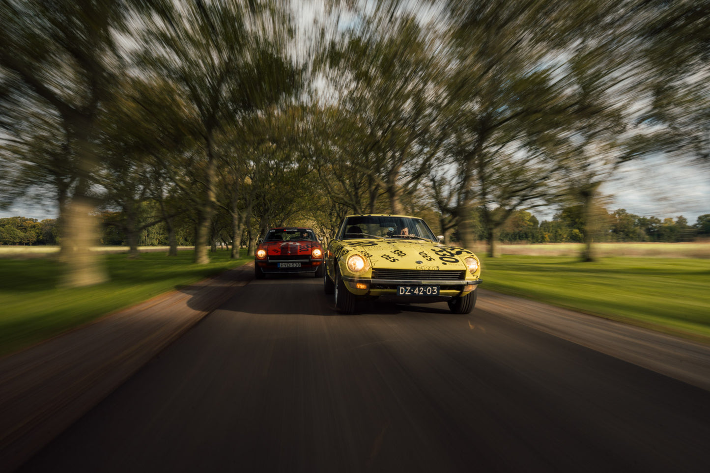 S30 World Z's