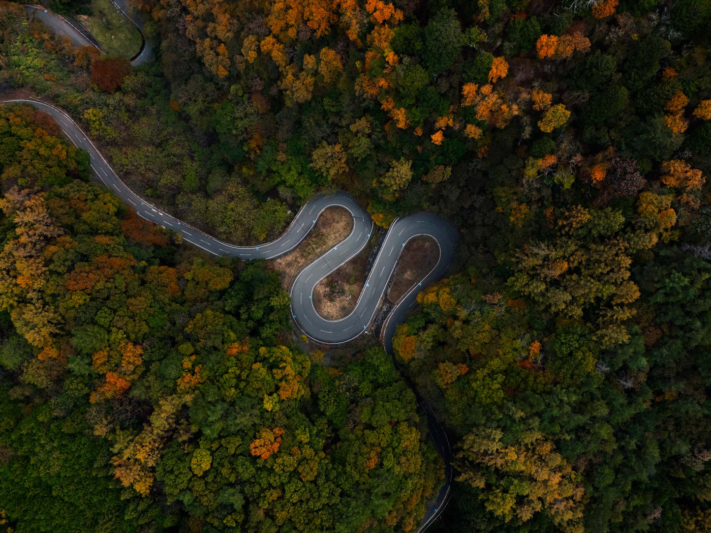 Autumn Touge