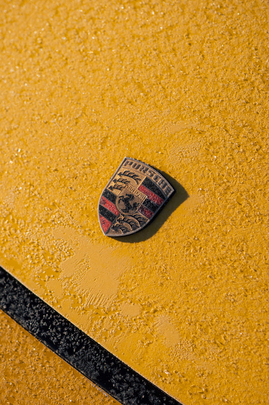 Porsche Frosty Logo