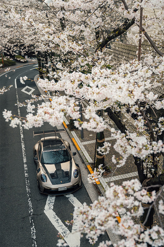 Cherry Blossom GT3 RS