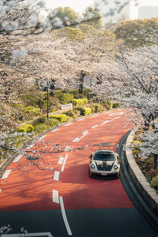 Cherry Blossom GT3 RS 6.0